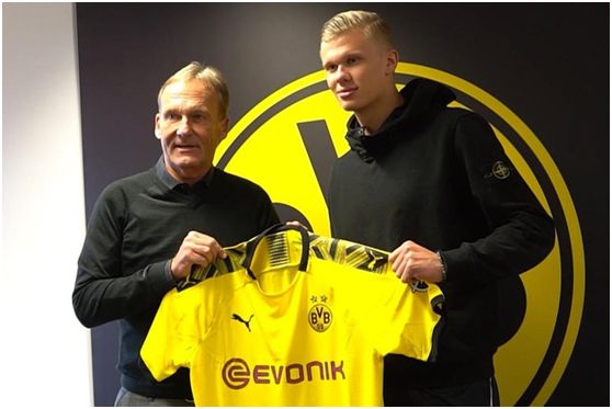 律师张冰：河南队拒不履行仲裁结果，涉及金额约77.83万元